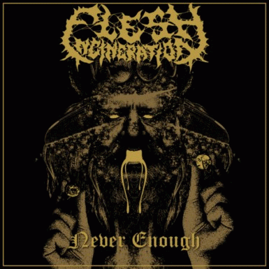 Flesh Incineration : Never Enough